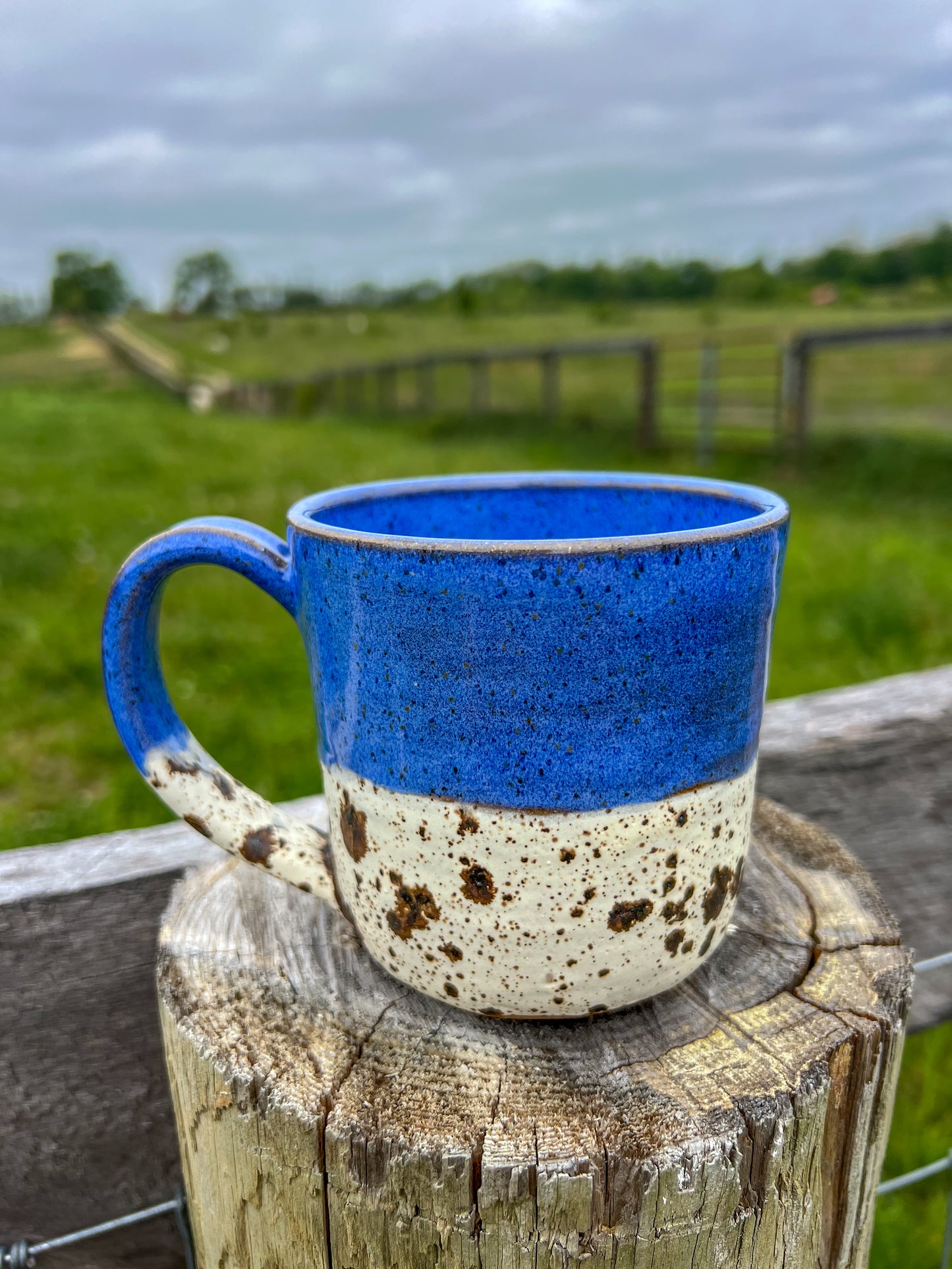 Blue and white speckled mug 16 oz