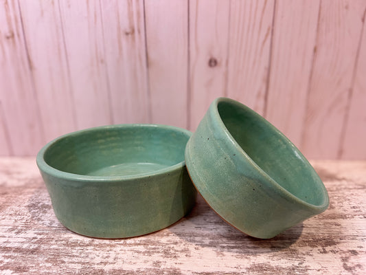 Dog Food and Water Bowl Set- Agave