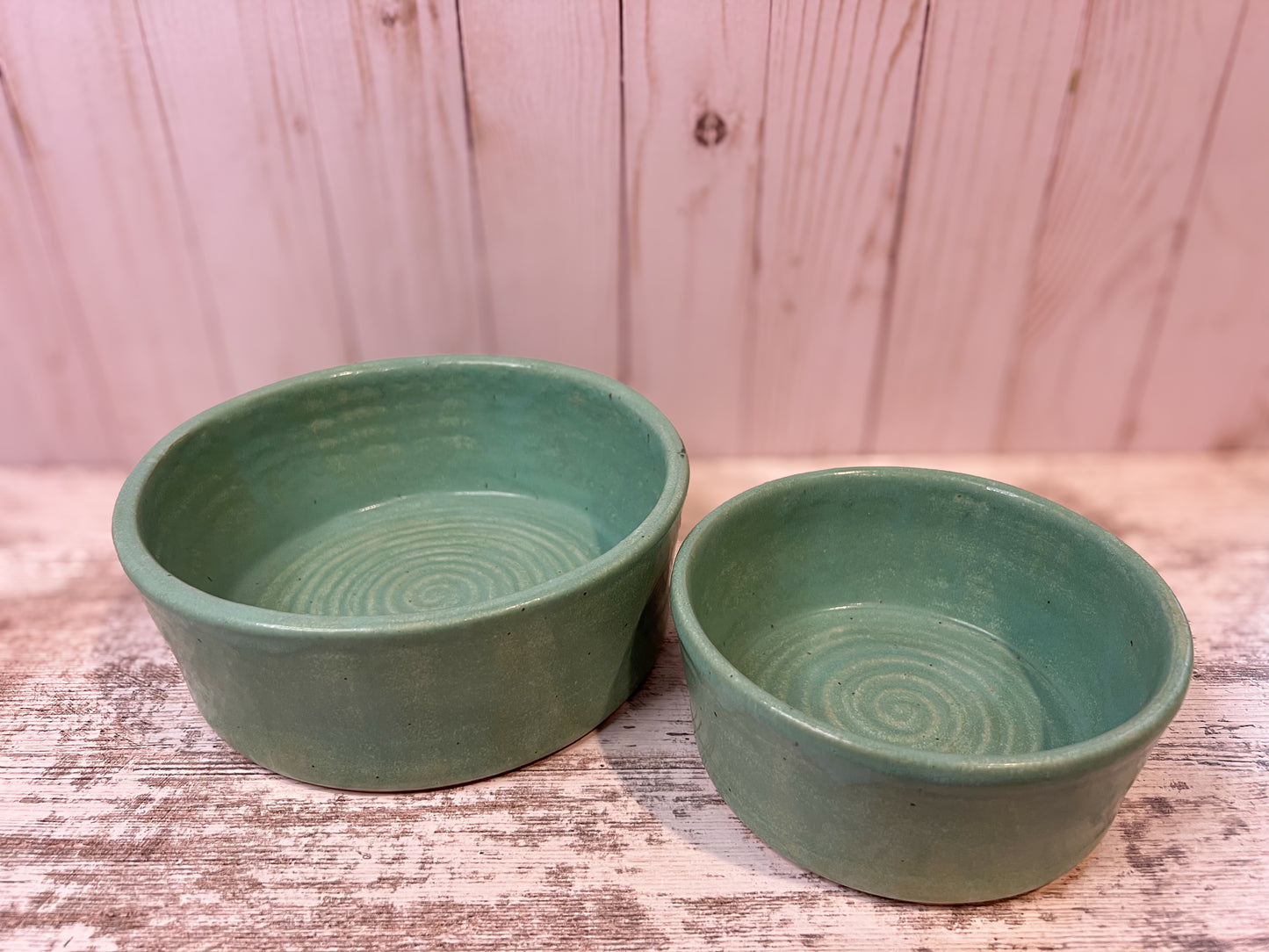 Dog Food and Water Bowl Set- Agave