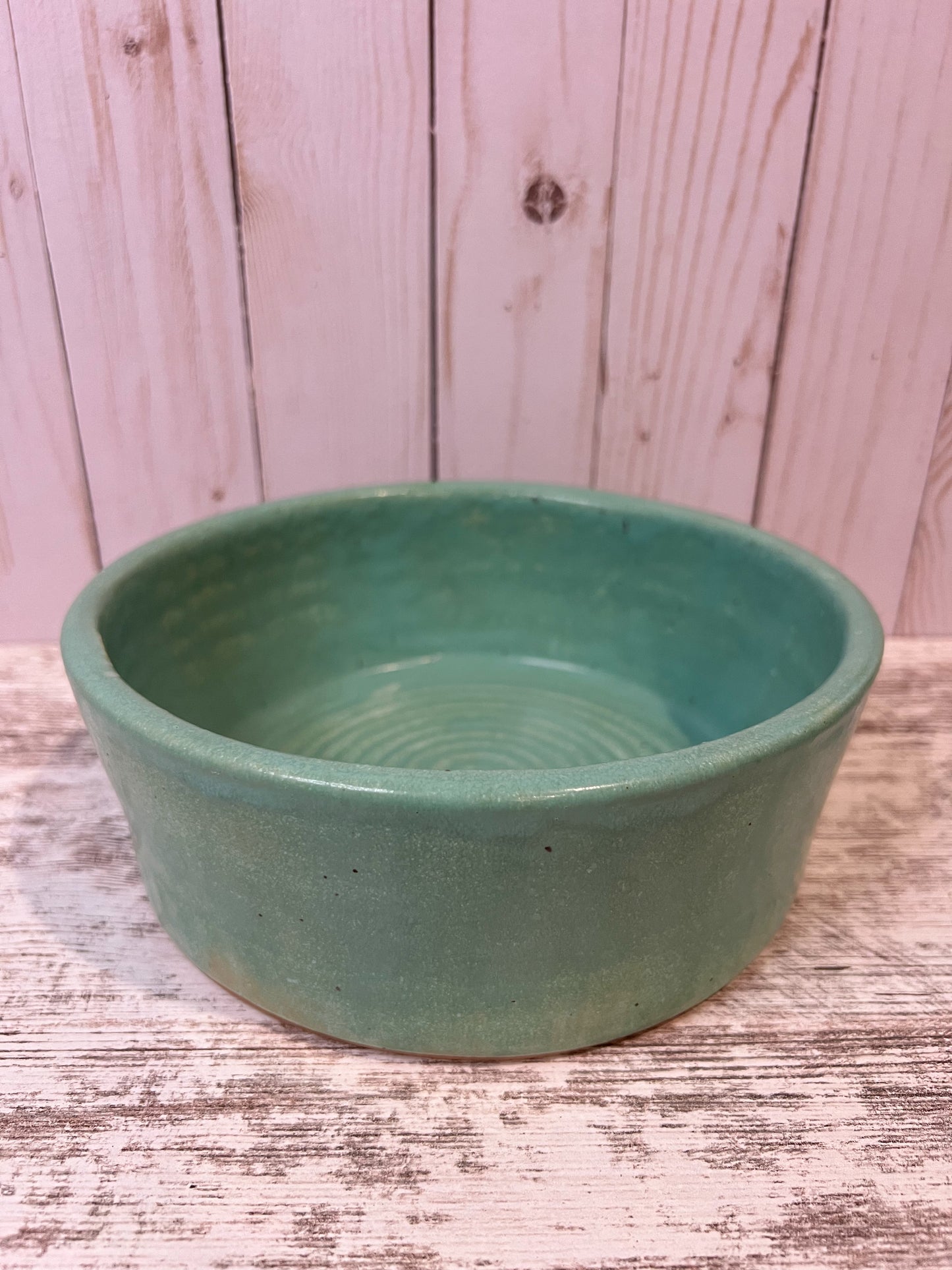 Dog Food and Water Bowl Set- Agave